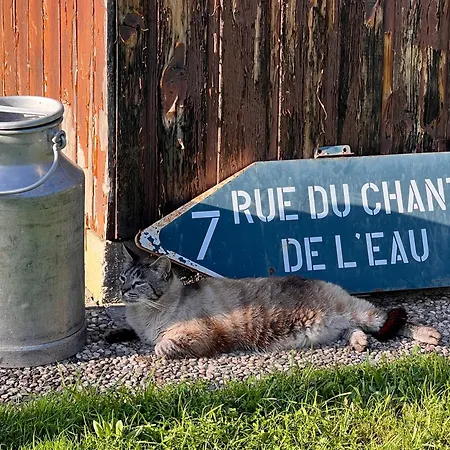 Apartman Profiter Du Calme De La Montagne Vosgienne *