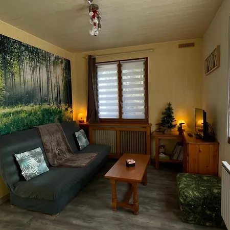 Apartment Profiter Du Calme De La Montagne Vosgienne