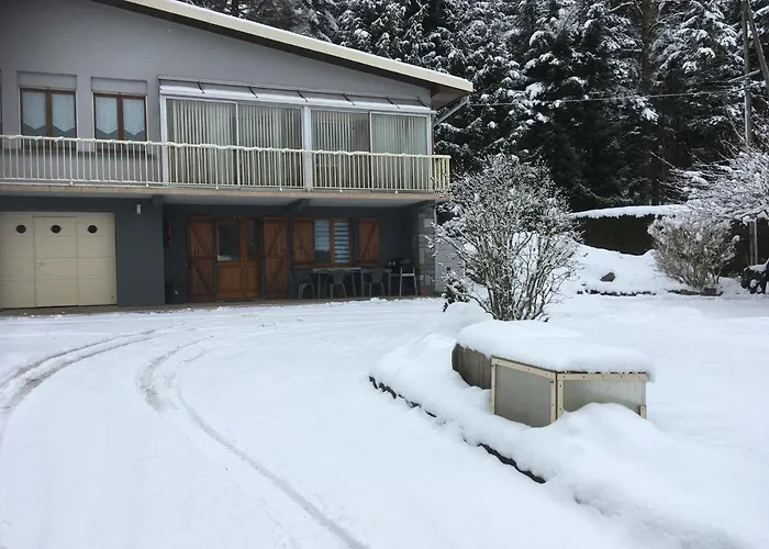 Profiter Du Calme De La Montagne Vosgienne Apartmán