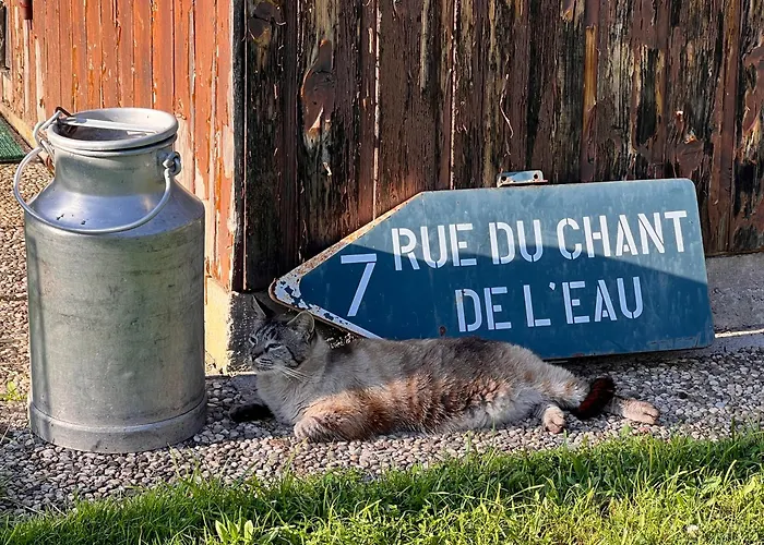 Lejlighed Profiter Du Calme De La Montagne Vosgienne *